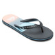 Quiksilver Molokai Panel - Flip-Flops for Men